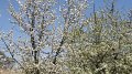 DSC00352 00